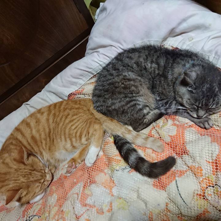 0e9feb0a 31e4 4c17 8846 7dbddc46343c 1570797039946