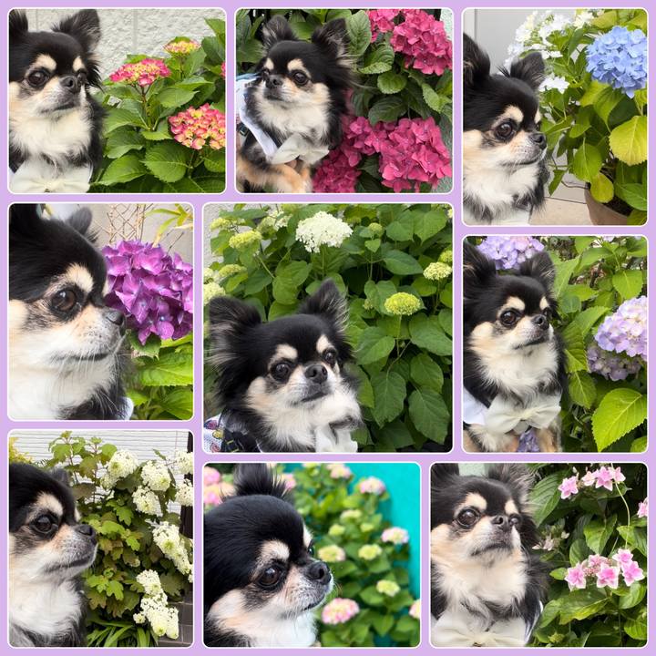 0ea006b6 9278 46f5 8b74 f7c502b6aed9 1685065200996