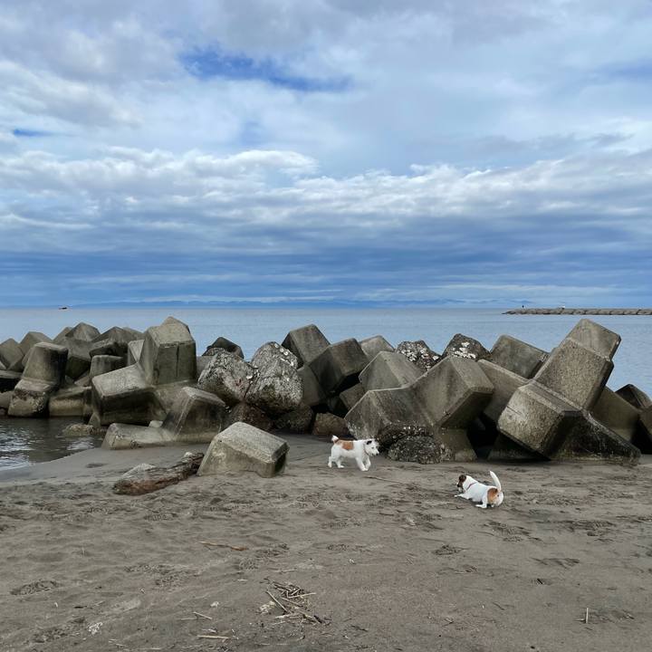 0ea01a92 e32f 4862 ba55 52892340af07 1661902452484