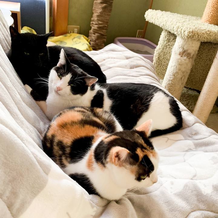 0ea07af1 a86a 46a0 8fc2 8ed9bdd68fce 1546999761001