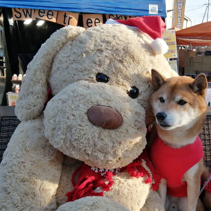 0ea0986e 9ae2 4241 90b9 bca91d9ed315 1640437949029