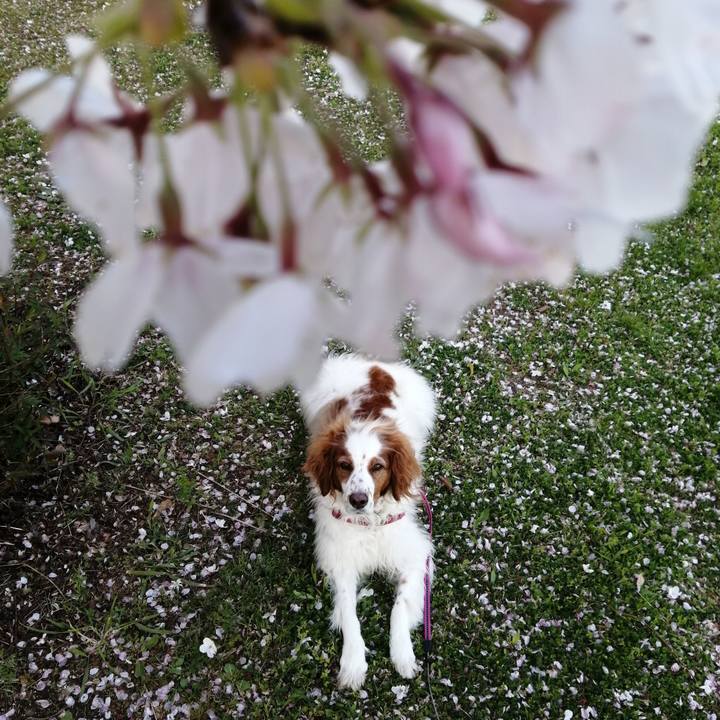 0ea0b1f5 0957 40e5 9776 c71a68aaca63 1586863633821