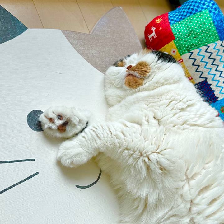 0ea0b967 77bf 4f10 8e47 d49be993a3ad 1707793811312