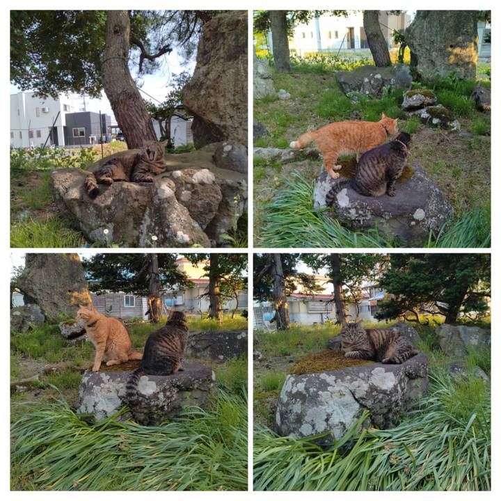 0ea0c65b 4c9b 4c08 a148 89b53351e868 1716457234633