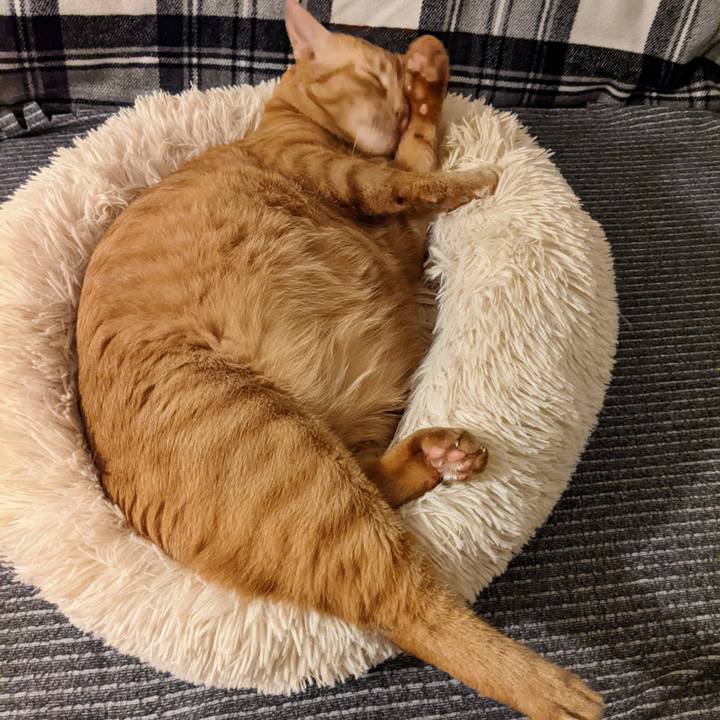 0ea0fcce e1cf 4ba1 ab43 05401bf7ce2e 1660874048740