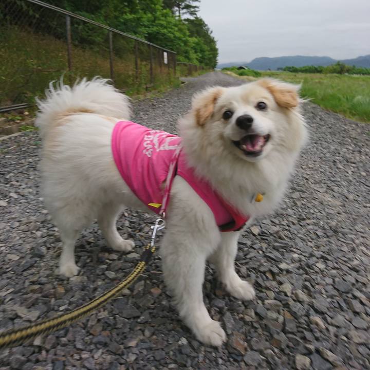 0ea15513 63b3 4267 b7c2 088f94a850ed 1528581327827