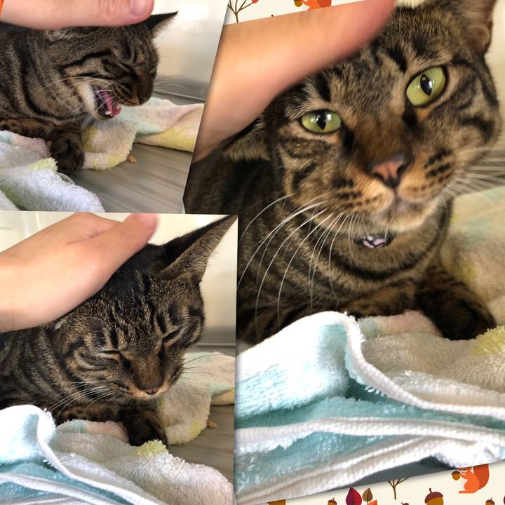 0ea1642d e693 455f 9917 a7f5cdefdf97 1568463851278