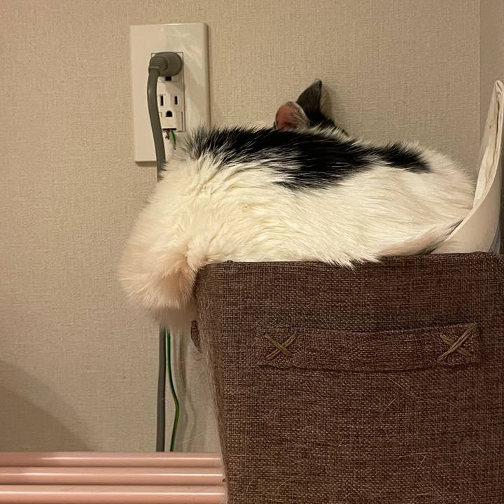 0ea1643f 0e68 4d76 9a06 f79a050ef367 1739711247900