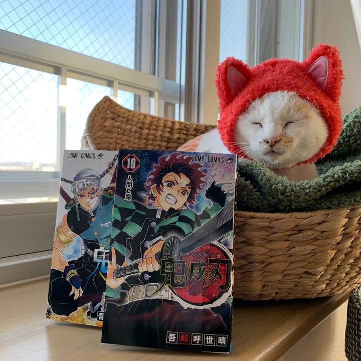 0ea18d02 32b8 4d4d 8c0b 5e4897dbdb69 1582272025851