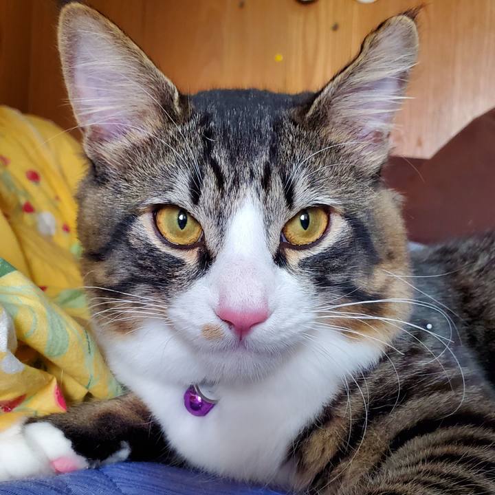 0ea191c7 37ae 4266 84bd c108ef3f05d7 1643730673422