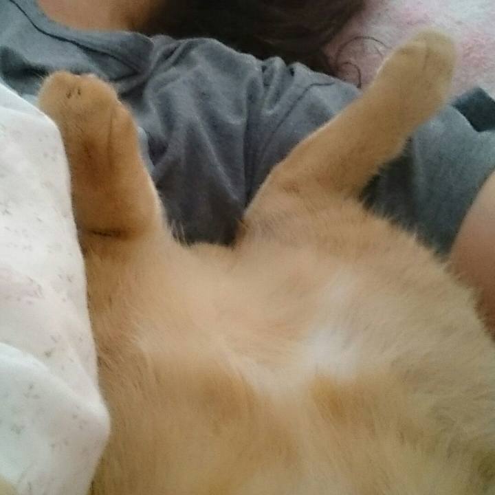 0ea19d5f 1bd1 420f bbdc 1934fa68edc7 1553041594978