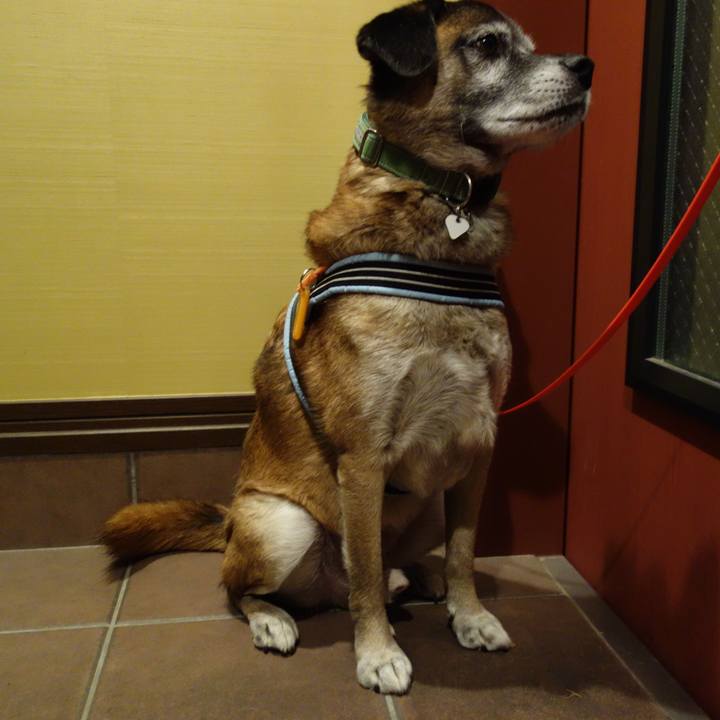 0ea1a113 6a58 42eb b390 ad102faed79e 1621730845751