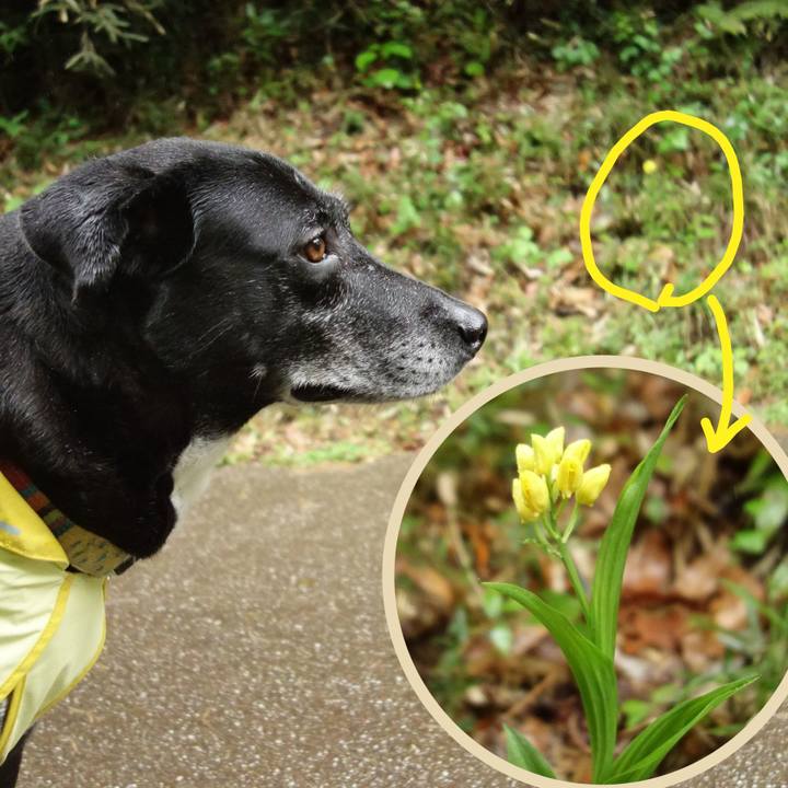 0ea21083 5144 4576 b6e5 1d8c5408f6e0 1745366081544