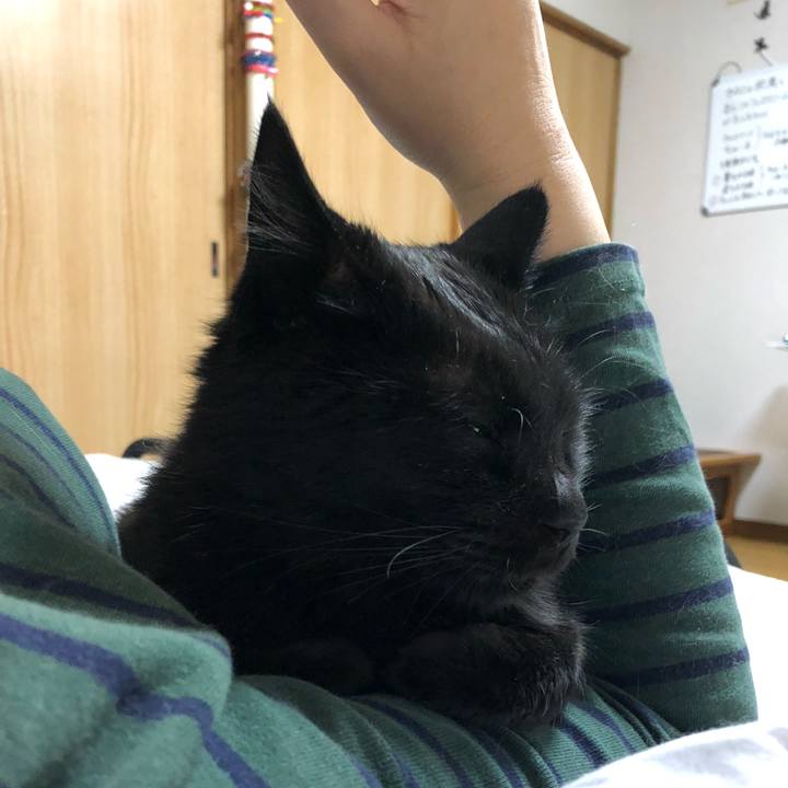 0ea2168f 479e 49ed 9498 4b22ae820862 1587819554561