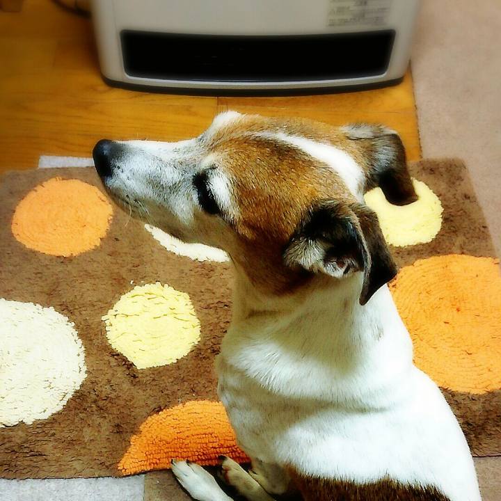 0ea224f5 3706 49c8 aec5 422eb47d9a0d 1510911485551