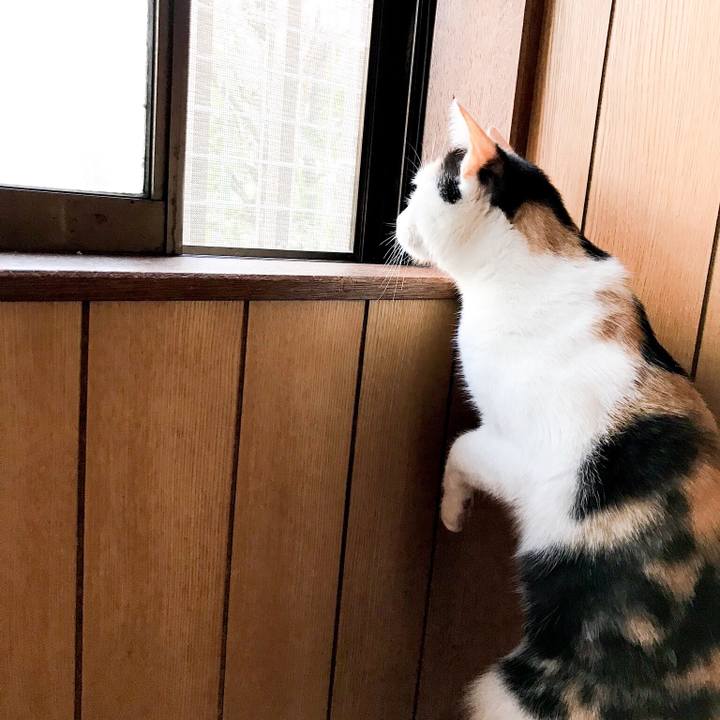 0ea250de 8d1e 45e0 b54a 7e4e392f3d10 1511791753609