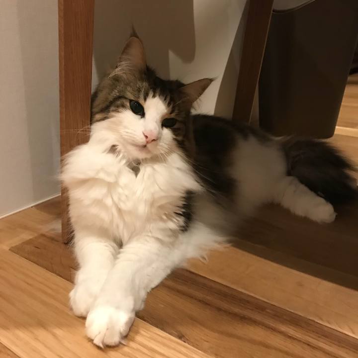 0ea25de4 88c5 4590 9beb 87bad9a41db2 1522839872376