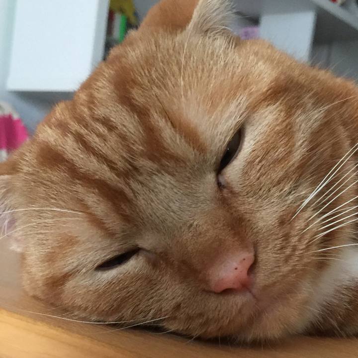 0ea279ac 18a8 43ff bbb2 bf0b613233f9 1536386168915