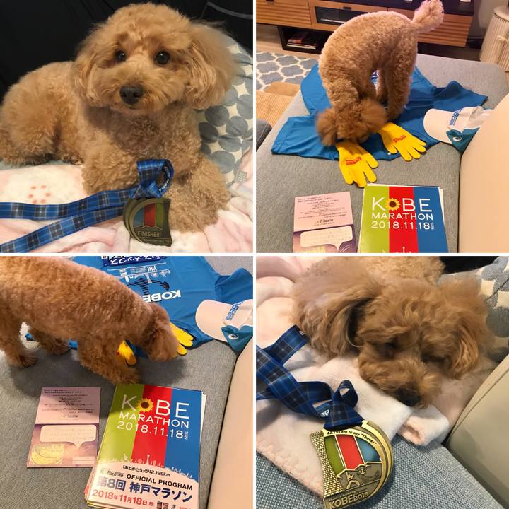 0ea2ab18 27a6 43c8 904f d8ad4fa4f5e2 1542542667957