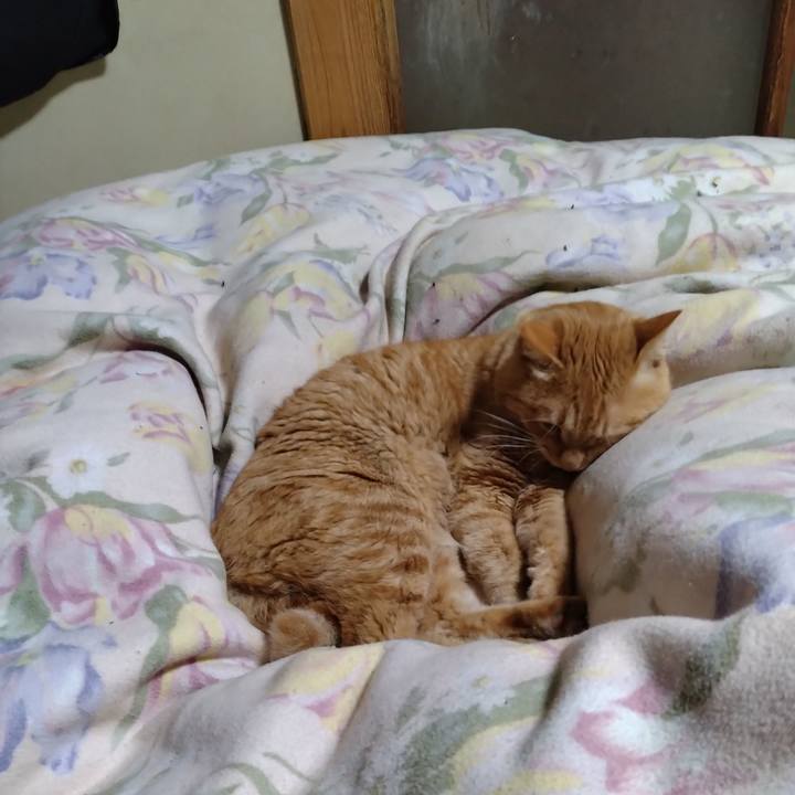 0ea2b05f 035d 49af 97bb f7cbce8c204f 1670934556278