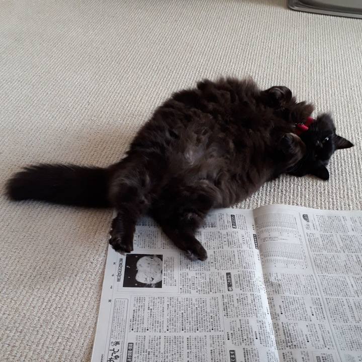 0ea2c49f 5cbd 4d99 a517 07ac4a28f72e 1519257827747