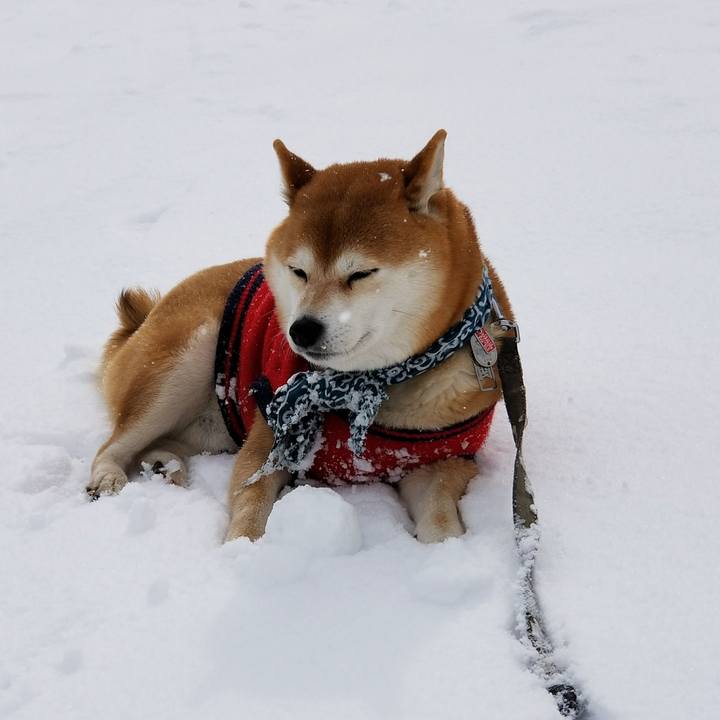 0ea2d0bc 0978 489c 9cba 5cdeb7146145 1517026693900