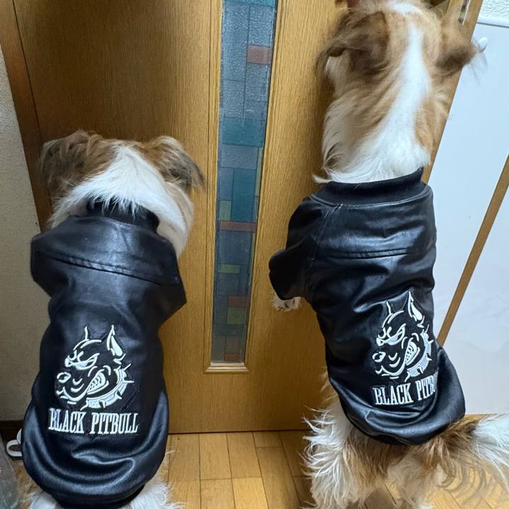 0ea30115 bca6 48dc ab98 0c7da1eb8935 1768124369212