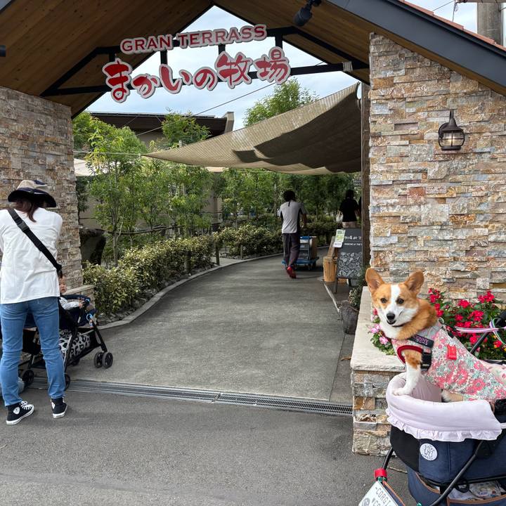 0ea32b2d 4b24 4bb4 b8a1 205c4ab45069 1760321977334