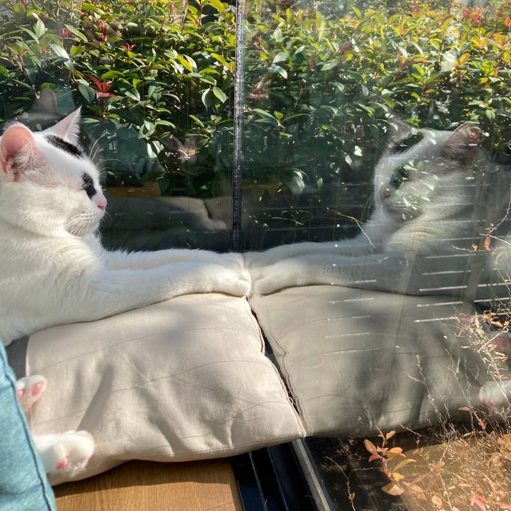 0ea34cb7 7823 41ed 92bd 67b95a4a8984 1768791161837