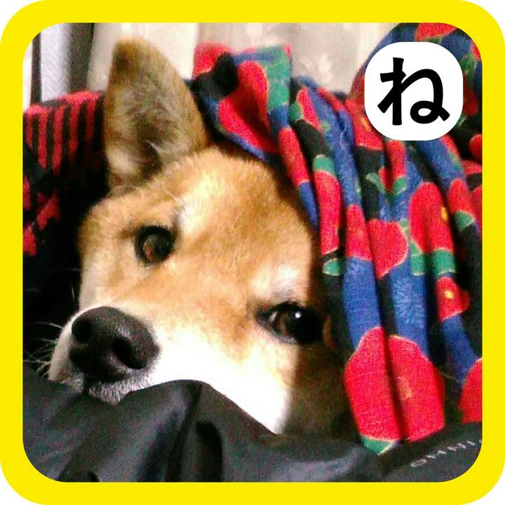 0ea34f42 339d 4c73 a319 f89413a54856 1515146221560