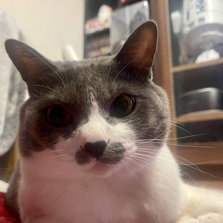 0ea377d9 9f1f 48a7 be8f 30f11047cc0b 1633174426545