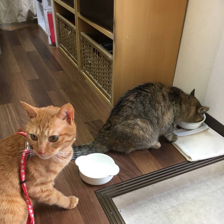 0ea3a14d 9a0c 4992 991c c5c997998a50 1513342285181