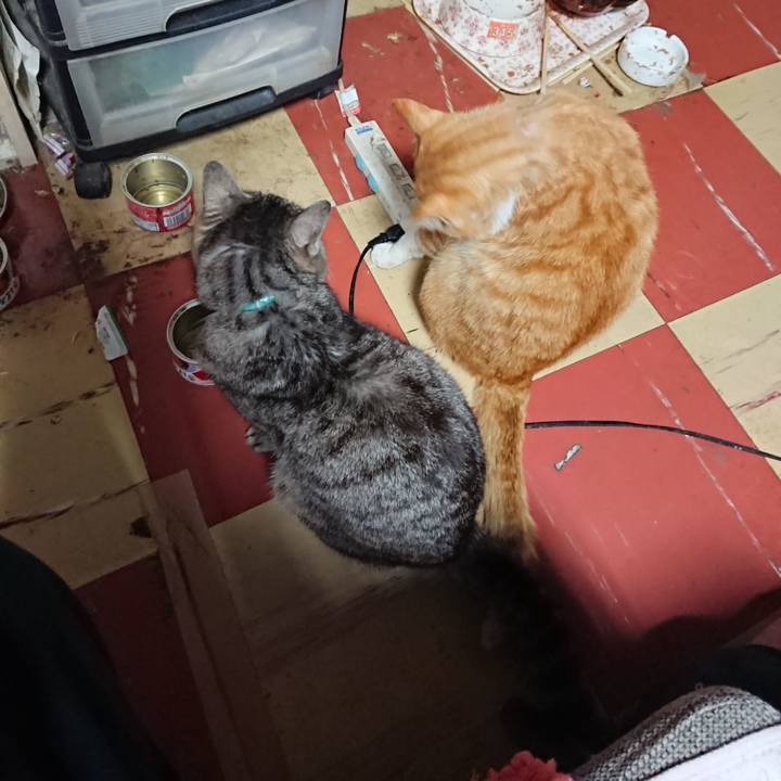 0ea3ad32 a1ed 4455 9023 6ad50a657763 1558037767323