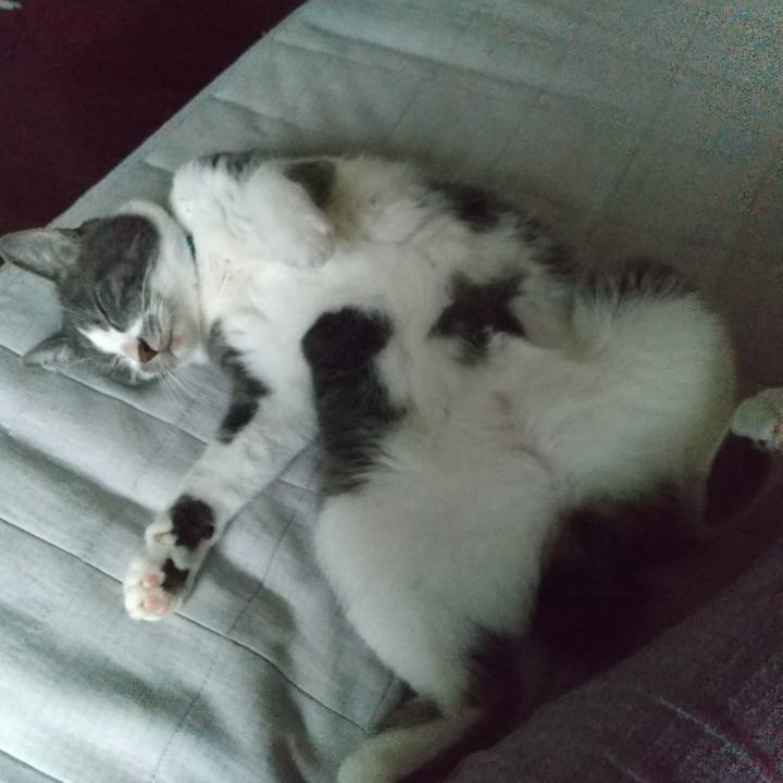 0ea3b45b 0dc2 42a2 ab99 ba000851d4b5 1628758004567