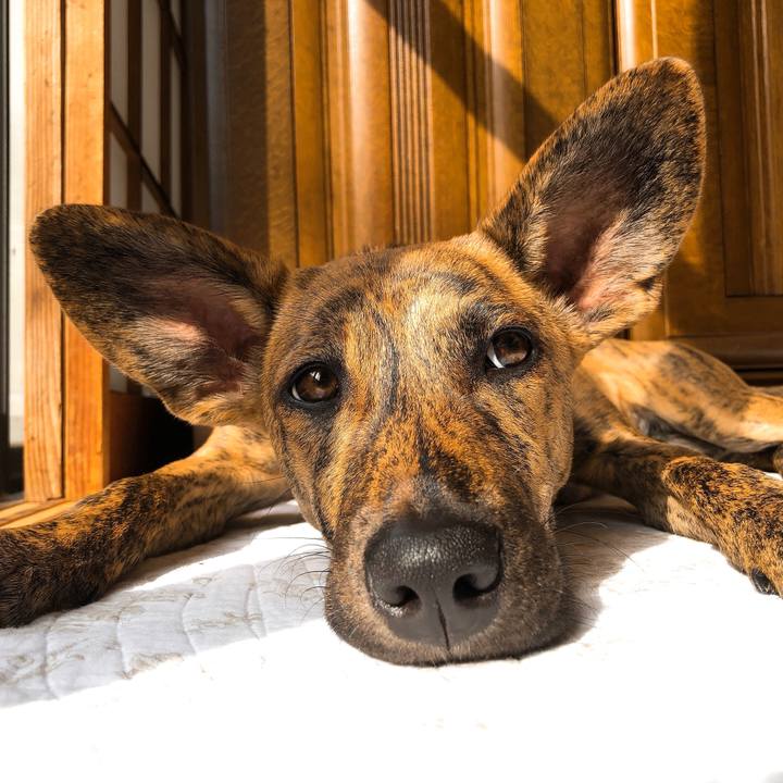 0ea3bcb6 ab0d 4ec5 8369 0ab5416e29ea 1578453750534