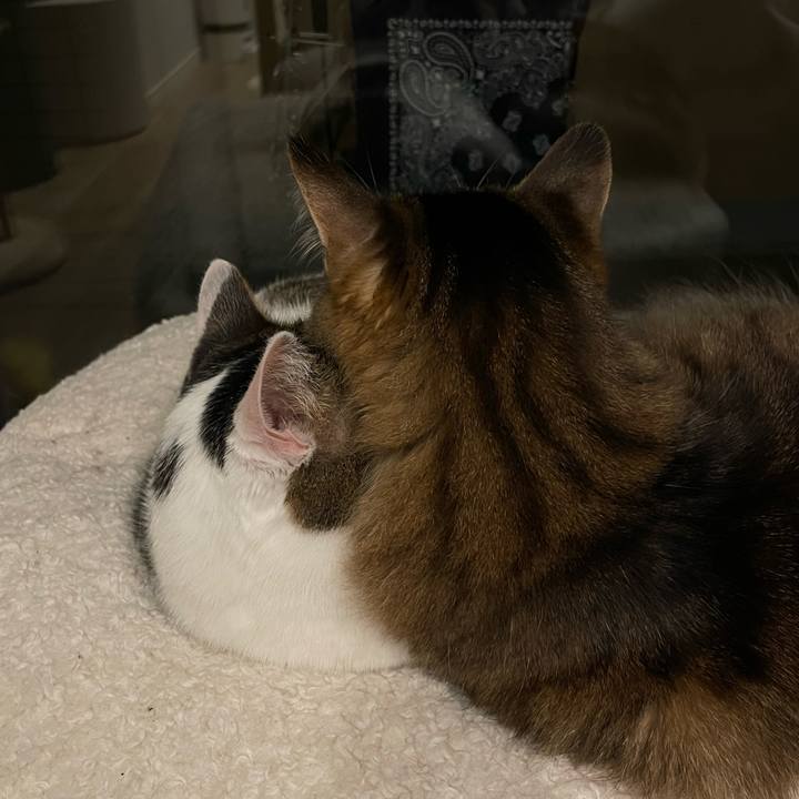 0ea3e874 558b 425e 9915 92840c55922f 1764421822813