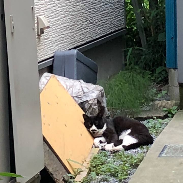 0ea41207 322d 4ab4 a0aa 81be6e8b2fa4 1529942738874