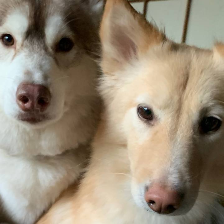 0ea42748 e840 4826 b765 c9881111723c 1575683369307