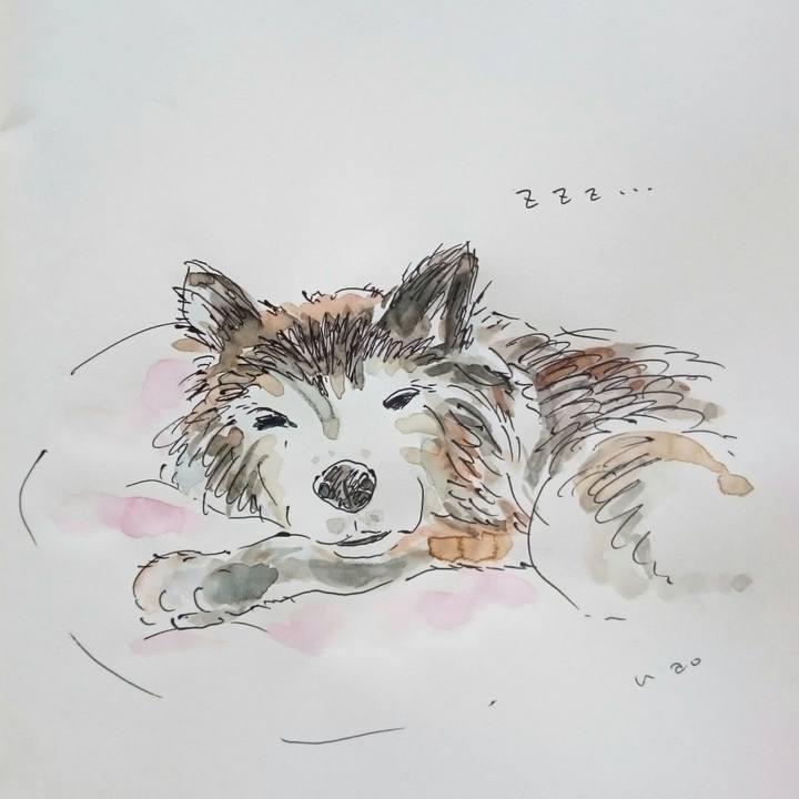 0ea4406b 0130 446a 8237 14a2f738295e 1564130155875