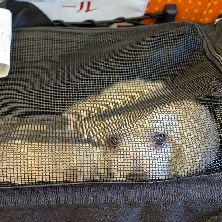 0ea4494f a6dc 449b bde0 948688dda02a 1761546085782