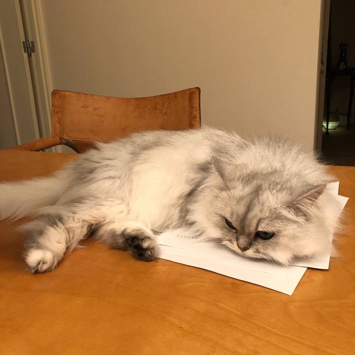 0ea451f8 ea16 41e8 865a d8da4ac3efbd 1539861206677