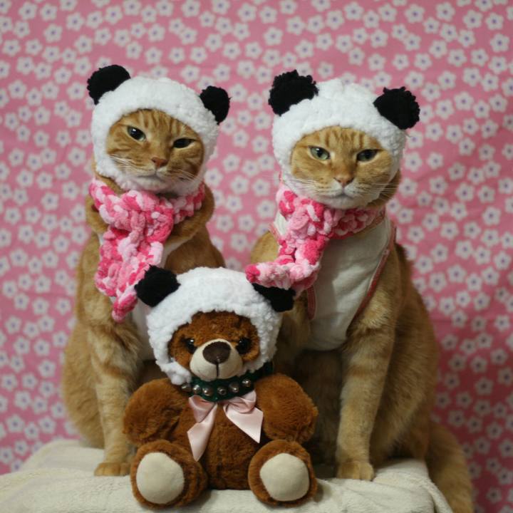 0ea477bd b70e 4dda a9a8 ce33452e8421 1515770527165