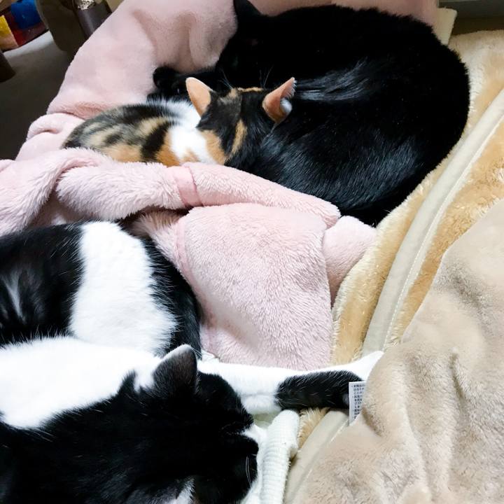 0ea4a684 6365 4841 b50b c66089180ffd 1514165711769