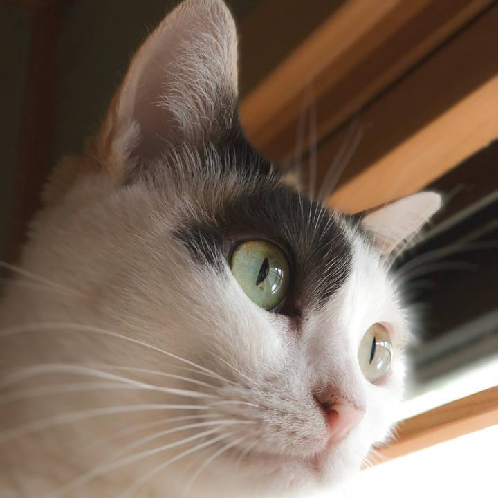 0ea4c06c a204 4aea 8ef2 059c893035eb 1569289729713