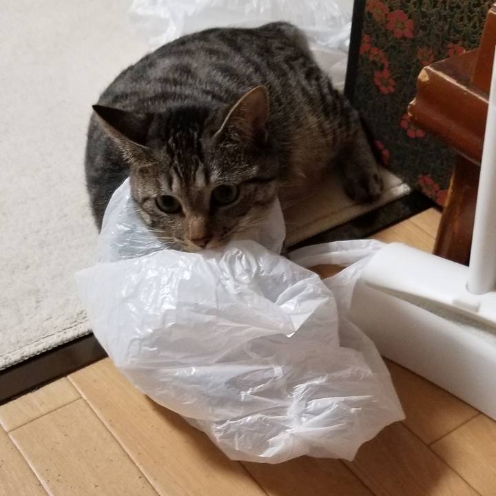 0ea4c6db 0bf7 4614 b9f6 303b84b71d6a 1691775470528