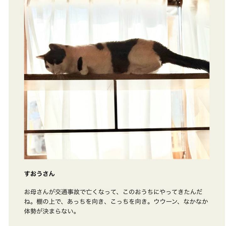 0ea4ebea b137 4066 9f77 f7b46c8121ba 1761101732841