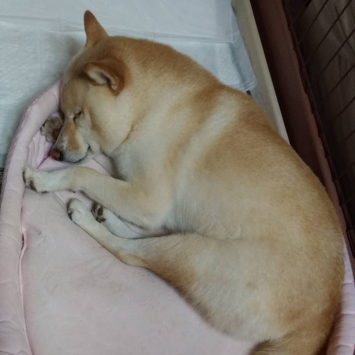 0ea4fc0f c17c 4be8 b267 f595a90bea5f 1600089523771