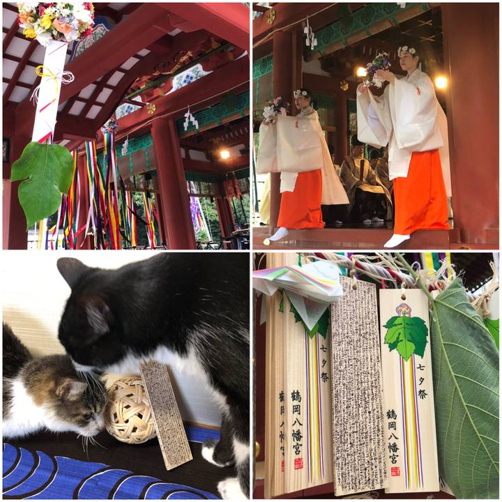 0ea52bfc 3073 4e36 971e 8cea7e44ccc6 1530953902510