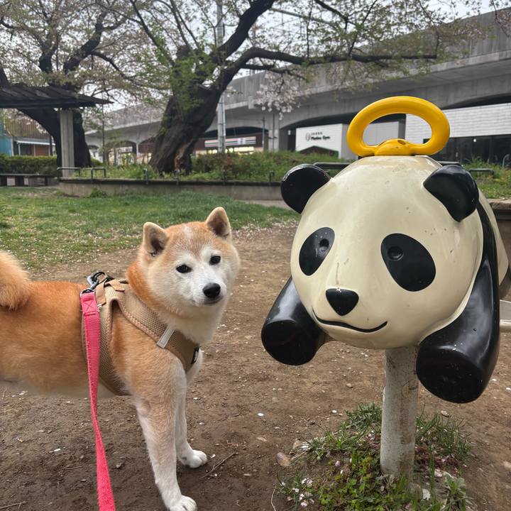 0ea54860 87de 4379 879e 2b86d545bf47 1744493055964