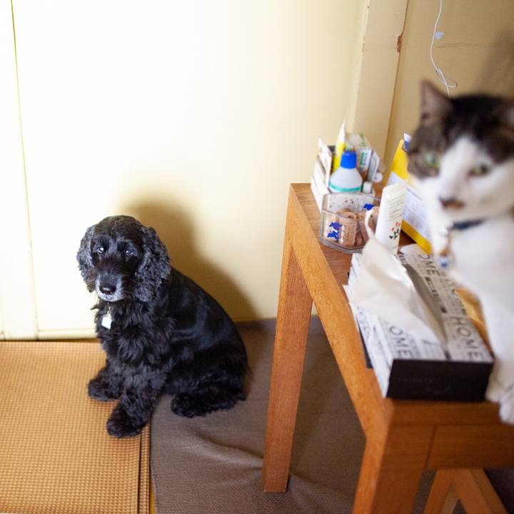 0ea57328 7b66 496f b1af 039280773f8d 1584239690616